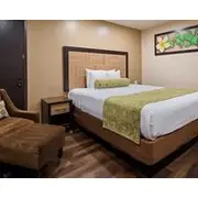 Best Western Plus Glendale
