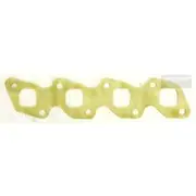 Platinum Extractor Gasket - HSM313