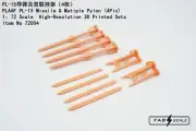 FAB FA72004 1/72 PL-l5 Missile andMultiple pylon COMMON PART