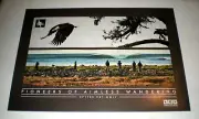 Poster - PIONEERS OF AIMLESS WANDERING jeremy koreski HIPPY TREE PROMO SURF
