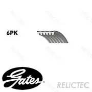 Multi V-Ribbed Belt for Ssangyong Mazda Jeep MB Lexus:REXTON,KYRON,ACTYON II 2