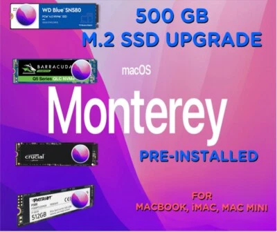 500GB M.2 SSD with macOS Monterey 12 Pre-Installed for MacBook, iMac, Mac Mini
