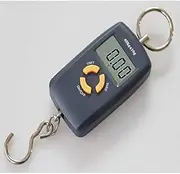 SAeWare 40 x 10g Mini Portable Electronic Scale Weight Fishing Luggage Scale Digital Travel Hanging Hook Scale No Light