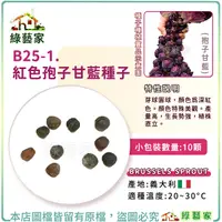 在飛比找Yahoo奇摩購物中心優惠-【綠藝家】B25-1.紅色孢子甘藍種子10顆(抱子甘藍) 蔬