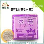 智利水苔(水草)1公斤裝±10％