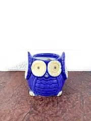 Ceramic Owl Planter With Drain Hole - Home Decor Accent and Garden