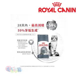 【法國皇家Royal Canin】強效潔牙成貓專用乾糧O30 1.5KG /3.5KG 毛貓寵