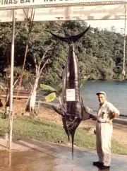 An Angler Stands Next To Black Marlin In Panama 1965 Old Fishing Photo