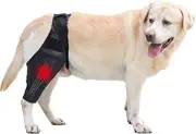 Dog Knee Brace,dog Leg Brace Hip Support Brace For Cruciate Ligament Injuries, Ccl, Patella Dislocation Or Osteoarthritis L