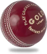 Cricket Ball Gold Red or White or Pink Leather 142G for Practice or Training