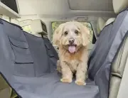 Hammock-Style Non-Slip Waterproof Dog Car Seat Cover