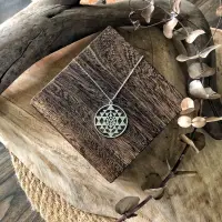 在飛比找蝦皮購物優惠-Sri Yantra Necklace斯里神聖幾何不鏽鋼銀色