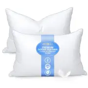 Goose Feather Pillows Queen Size Pack of 2 - Down Hotel Bed Pillows for Sleep...