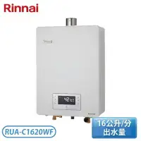 在飛比找環球Online優惠-【Rinnai 林內】16公升 屋內型強制排氣熱水器 RUA