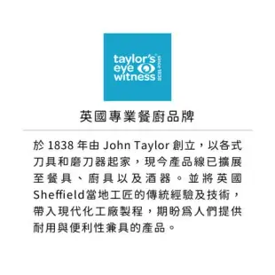 《Taylors Eye Witness》手拉式旋轉切碎攪拌器(850ml) | 蔬菜備料 切菜器