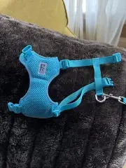 Kitten Harness