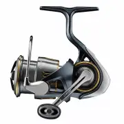 DAIWA spinning reel 23AIRITY LT2000S-P From Japan Free shipping