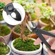 Bonsai Branch Cutter Bonsai Branch Cutter Fruit Tree Potted Landscape Modeling T