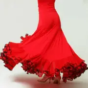 Women Latin Rumba Skirt Salsa Flamenco Ballroom Dance Dress Modern Tango Costume