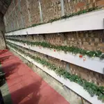 草莓立體種植槽高架無土栽培番茄蔬菜立體栽培架水培槽草莓種植槽