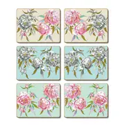 Country Kitchen Verona Cinnamon Cork Back Placemats Set 6