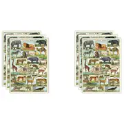 6x Cavallini Paper Poster Prints/Gift Wrap Wall Art Decor 50x70cm Animal World