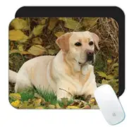 Labrador Leaves Love Labs : Gift Mousepad Dog Puppy Pet Animal Cute