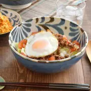 Bowl 21.5cm Ryukyu Leaf Japanese tableware Donburi bowl Donburi bow From Japan