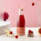 Portable Personal Blender with Magnetic Wireless Charging 450 ml