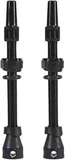 Pegciuho 2 Pack Presta Tubeless Valves for Bicycle, Practical Cycling Accessories, 65mm Black