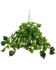 Nearly Natural Indoor/Outdoor UV-Resistant Artificial Philodendron with 50 Warm White LED Lights in Hanging Basket