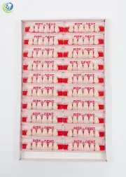 Dental Lab Upper Anterior Acrylic Resin Teeth Various Sizes & Shades 120/Box