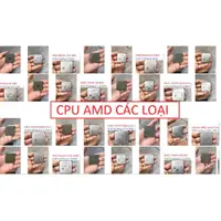 在飛比找蝦皮購物優惠-Cpu AMD 插座 640 速龍 64 X2 4000 4