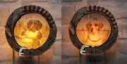 Ebros Set Of 2 Waterfowl Duck Hunter Hunting Labrador Dog Plug In Night Lights