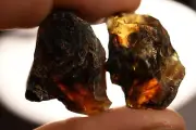 2 *BLUE AMBER* Specimens 3cm 10g Natural Rough Fossils Sumatran Indonesian