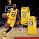 Nike 耐吉 球衣 NBA Swingman 黃 紫 洛杉磯湖人 LAL 詹姆斯 23 LBJ 運動背心 DN2009-733