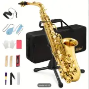 Student Alto Saxophone E Flat Gold Lacquer Alto Beginner Full Kit Carry case