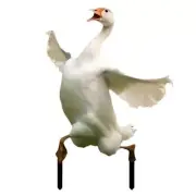 Artistic Geese Shape Acrylic Garden Stakes Ornament for Creative Outdoors Spaces