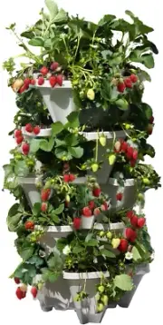 5 Tiered Vertical Gardening Planter, Indoor & Outdoor