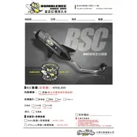 在飛比找蝦皮購物優惠-<上雅安全帽>黃蜂 BSC 排氣管 合格 認證 合格排氣管 