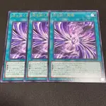 遊戲王 遊戲王卡 卡牌 OCG JP067 日本直送 二手