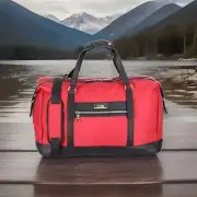 CAVALLI CLASS BY ROBERTO CAVALLI Two-Tone Travel Duffel
