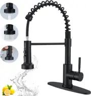 Pull-Down Kitchen Tap with Sprayer, High Arc 1 Hole Sink Faucet, Commercial Sing