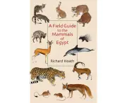 A Field Guide to the Mammals of Egypt