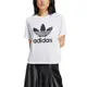 ADIDAS 女 TRFL TEE BOXY 流行 休閒圓領T(短)-IN8441 廠商直送