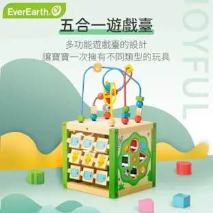 【EverEarth】 五合一多功能遊戲臺