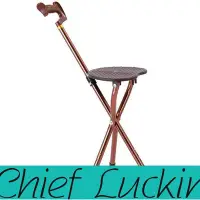 在飛比找Yahoo!奇摩拍賣優惠-瑞幸首席賣場-不鏽鋼柺杖凳柺杖鋁合金三腳手杖凳老年人康復用品