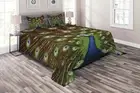 Colorful Quilted Coverlet & Pillow Shams Set, Peacock with Feathers Print