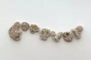 Natural Letter Shaped FOREVER Rocks Beach Stone Anniversary Pebble Art Craft US