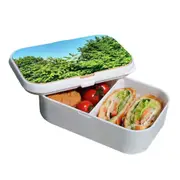 Lunch Box Food Container Snack Picnic Authentic Wood Strap Cutlery Green Nature